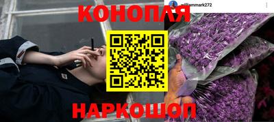 соль ск Заводоуковск